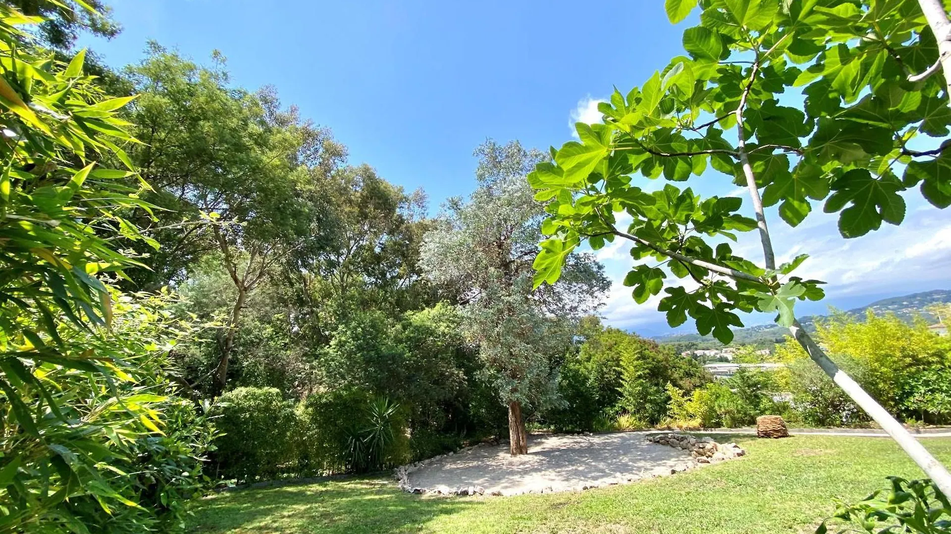 Villa Bamboo Zen Cannes France